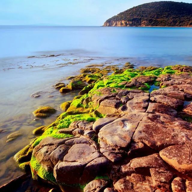 萨摩亚队意志坚定坚持可夺取欧洲杯冠军的简单介绍