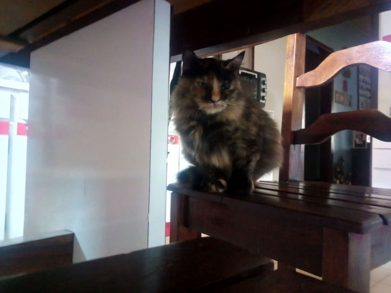 迪马利亚的苏格兰雨夜，当巫师在凯尔特人的地盘起舞