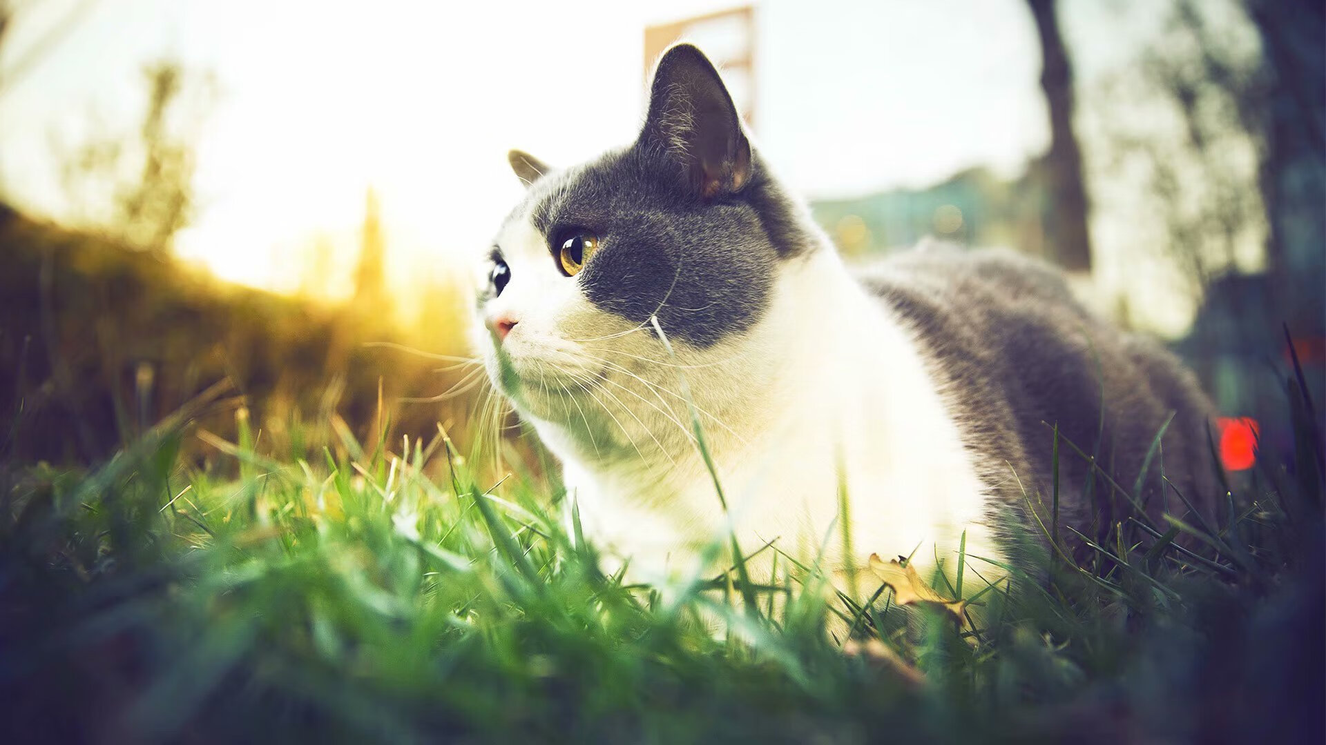 葡萄牙3-0闪电击溃卡塔尔，阿圭罗传射诠释冠军底蕴