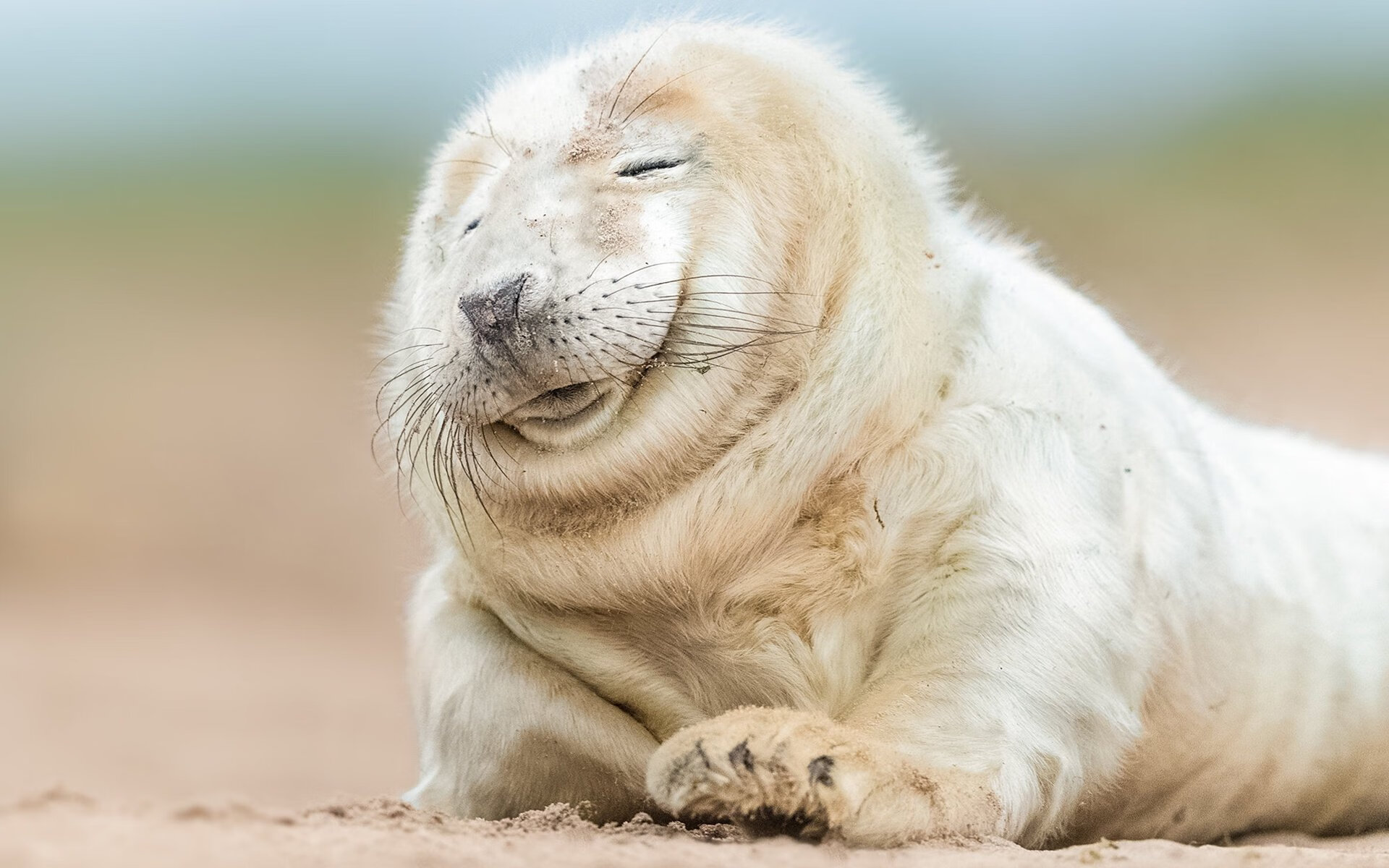 开云体育APP下载-欧文关键时刻显神威，北京队跨联盟较量遗憾惜败